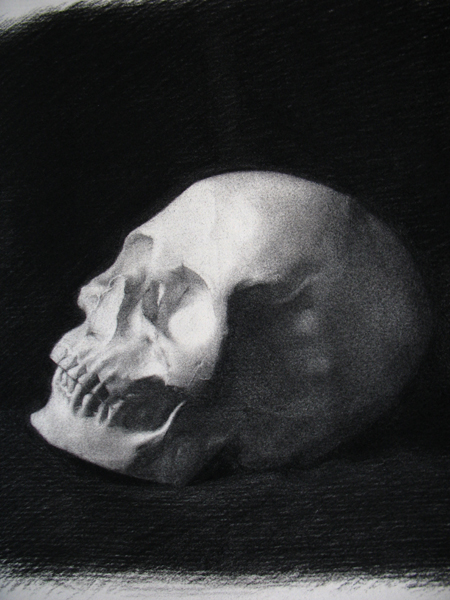 Skull in charcoal