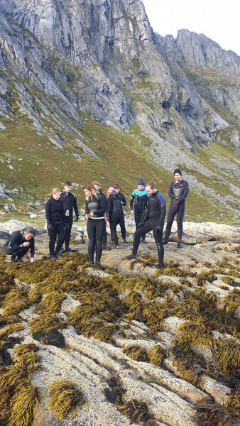 Kelp Harvesting